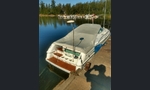 Chris Craft 252 Crowe-kuva-11